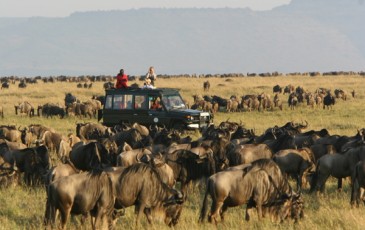 Tour Image